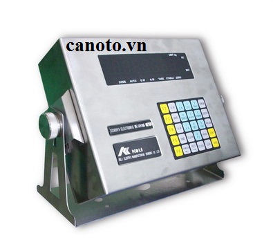 Đầu cân d2008